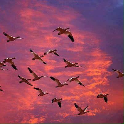 A tiny "me" on a spinning planet,
Amidst a potpourri of experiences
That men cal...