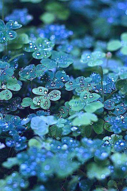 Im just that drop of dewYou allow on your skin.The dawn will consume me..Im ju...