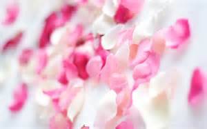 Surrender all that’s religious in you and make space to welcome love…a scabbard ...