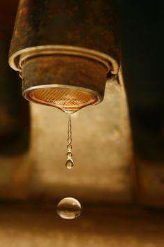 The dessication
Until
The liberation.The dessication
Until
The liberation.