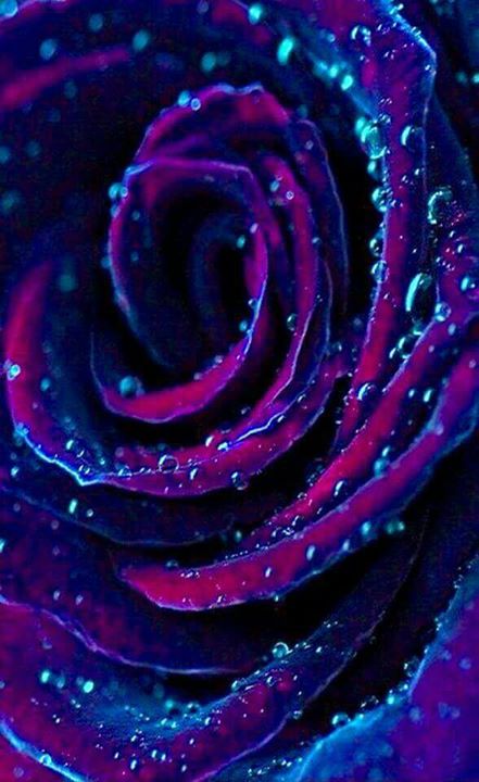 The swirling
Until..
The dissolution.The swirling
Until..
The dissolution.