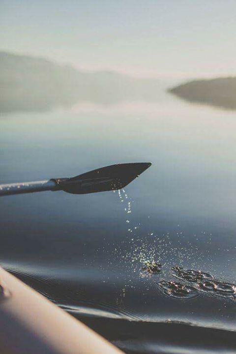 The whiplashThe propulsion And the pauseIn between...The whiplashThe propuls...