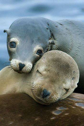 warmth has no meaning....until you bless it with one.