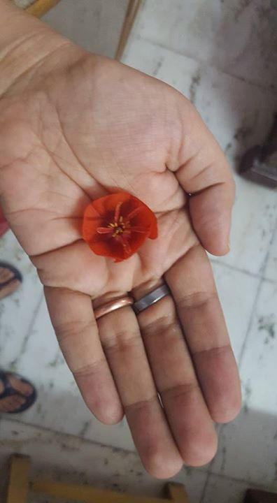 While the world has been busy pounding it's feigned greatness...the silent beaut...