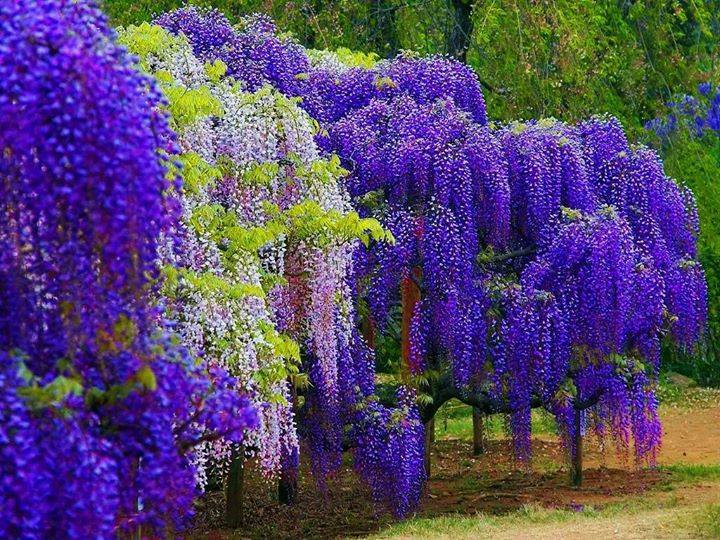 you &  I 
Love & Loss,
you & I