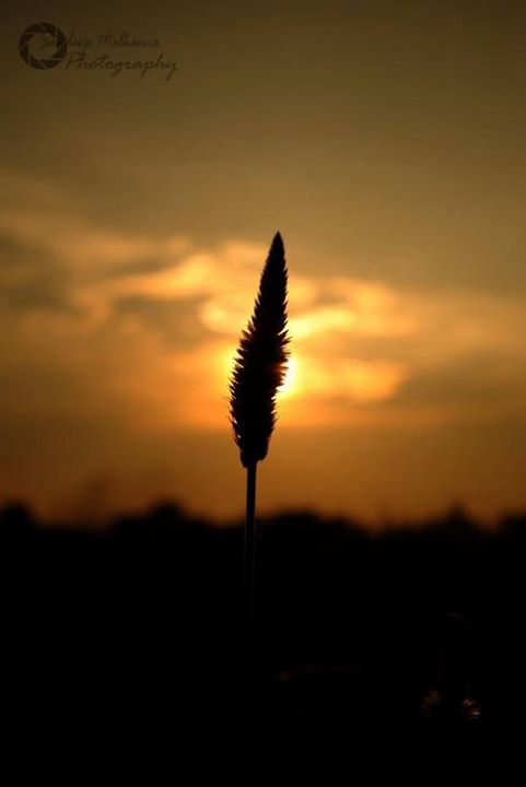 You pin me up,You nail me down,You string my hands,You purse my lips,Stain m...