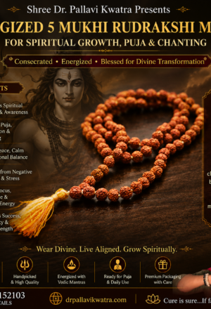 Energized 5 Mukhi Rudraksh Maala
