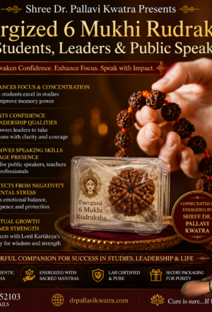 Energized 6 Mukhi Rudraksha for Students