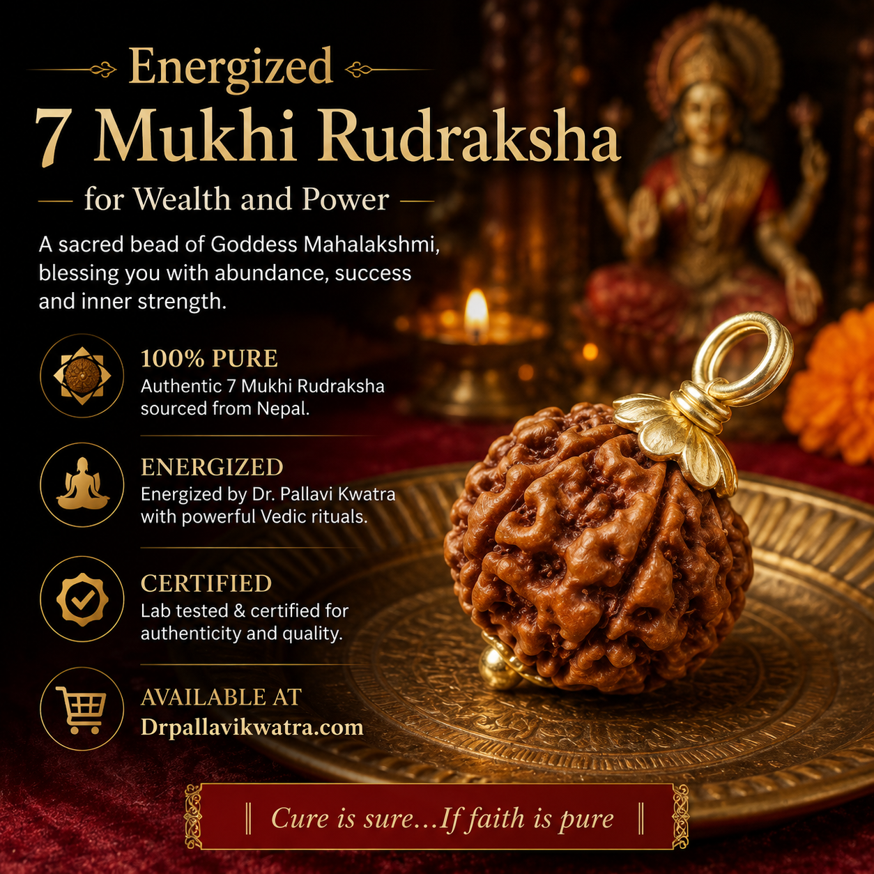 Energized 7 Mukhi Rudraksha for Wealth