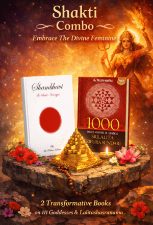 Combo Shakti with Sri Yantra