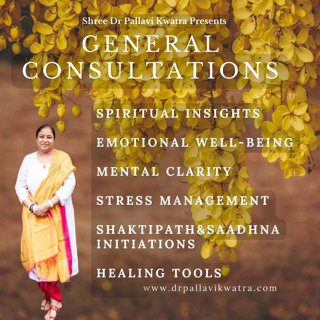General Consultations - Image 2