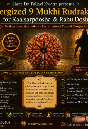 Energized 9 Mukhi for Kaalsarpdosh Rahu
