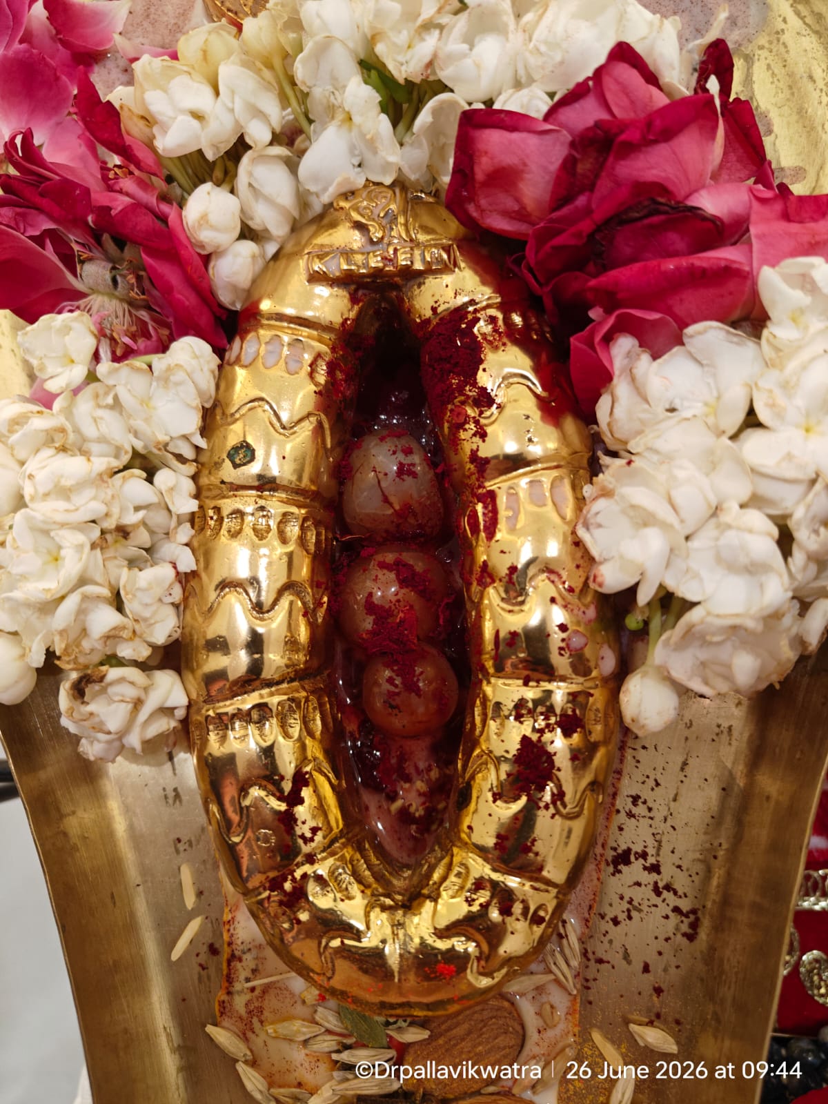 Kamakhya Puja - Image 5