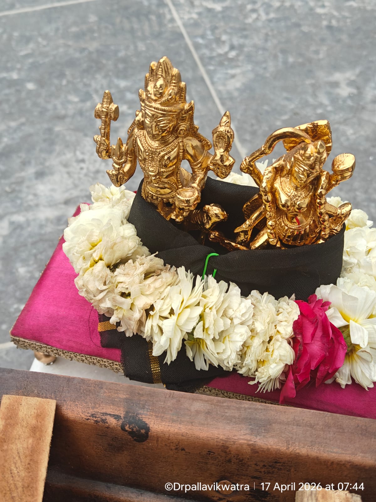 LEVEL 1 Basic Kaalbhairav Zoom Deeksha - Image 5