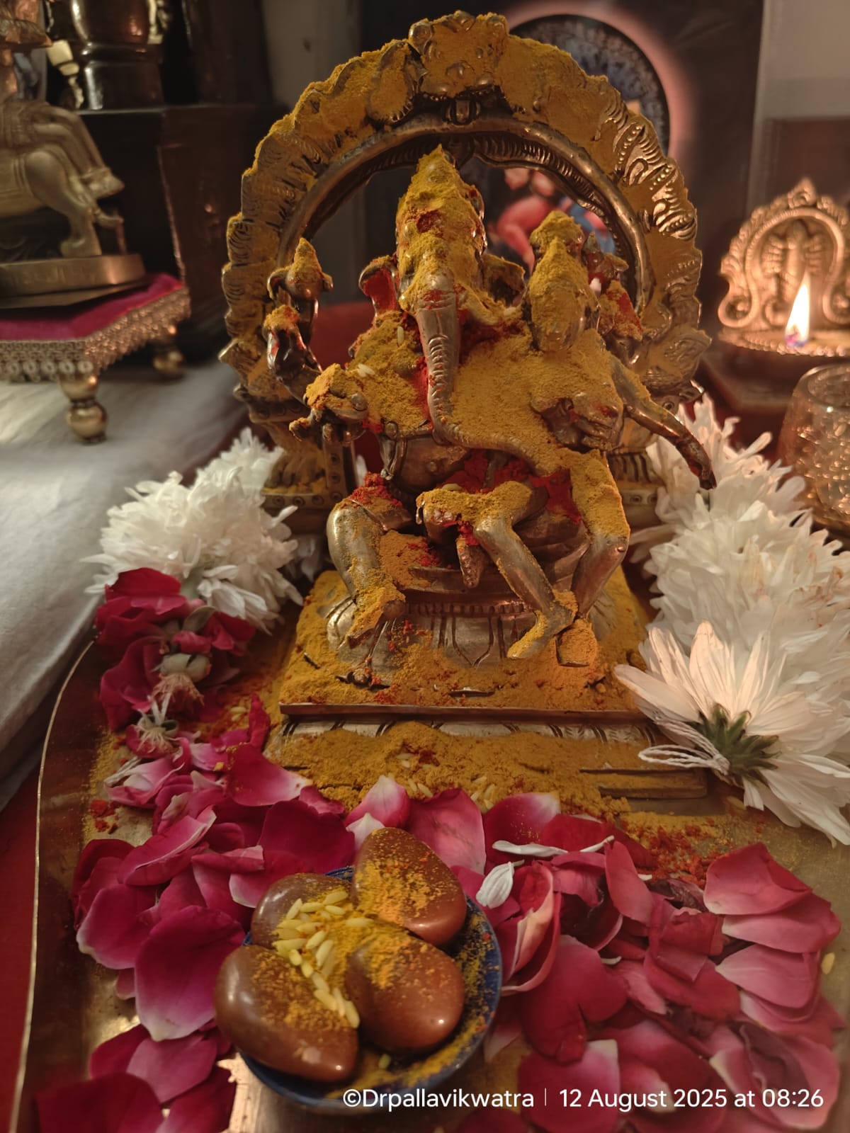 Vama Trika Sampurna Abhaya–Samriddhi Puja - Image 8