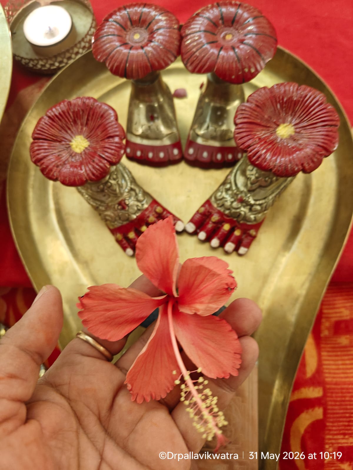 Maa Tara Charan Puja Sewa - Image 8