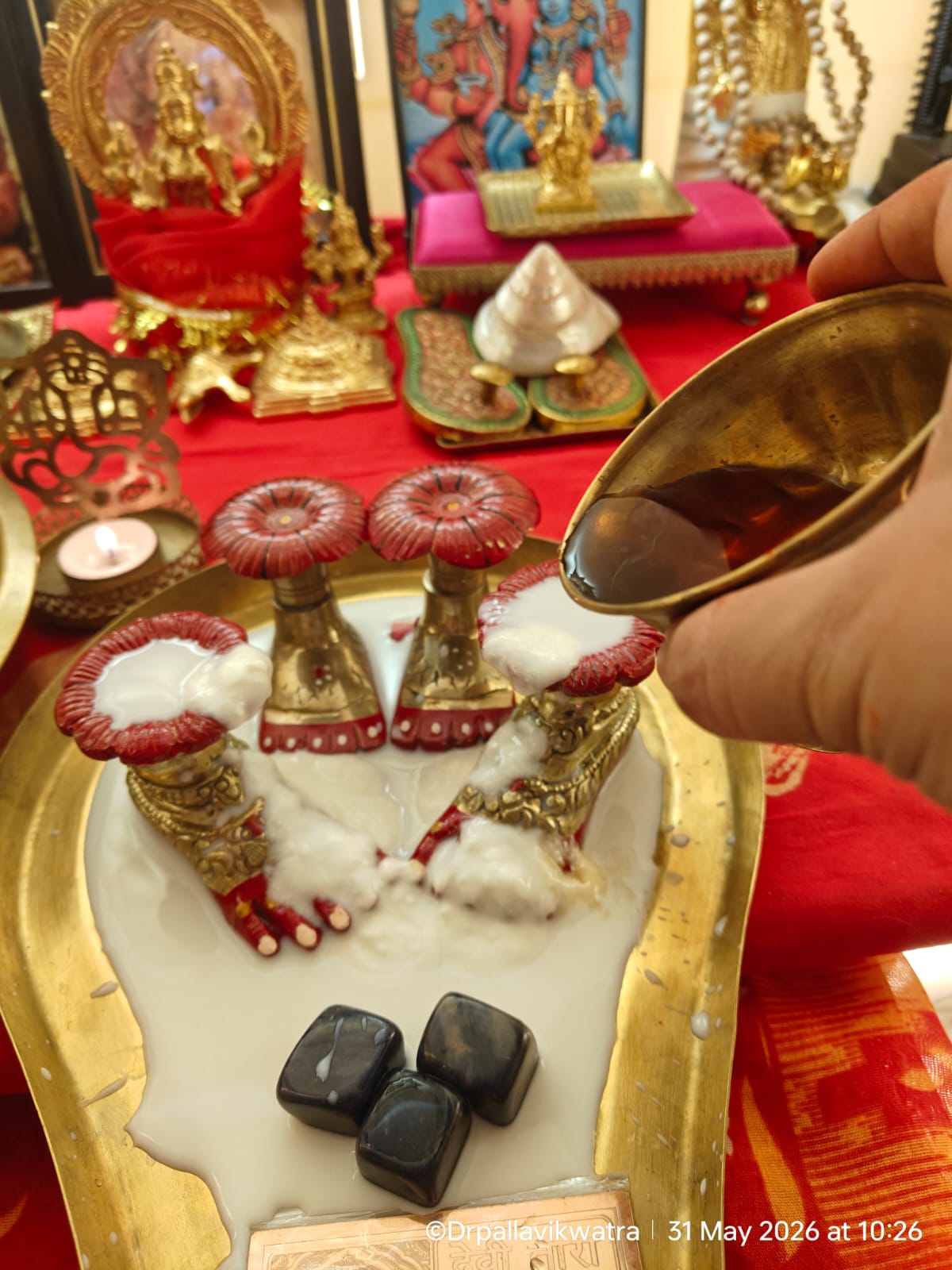 Maa Tara Charan Puja Sewa - Image 5