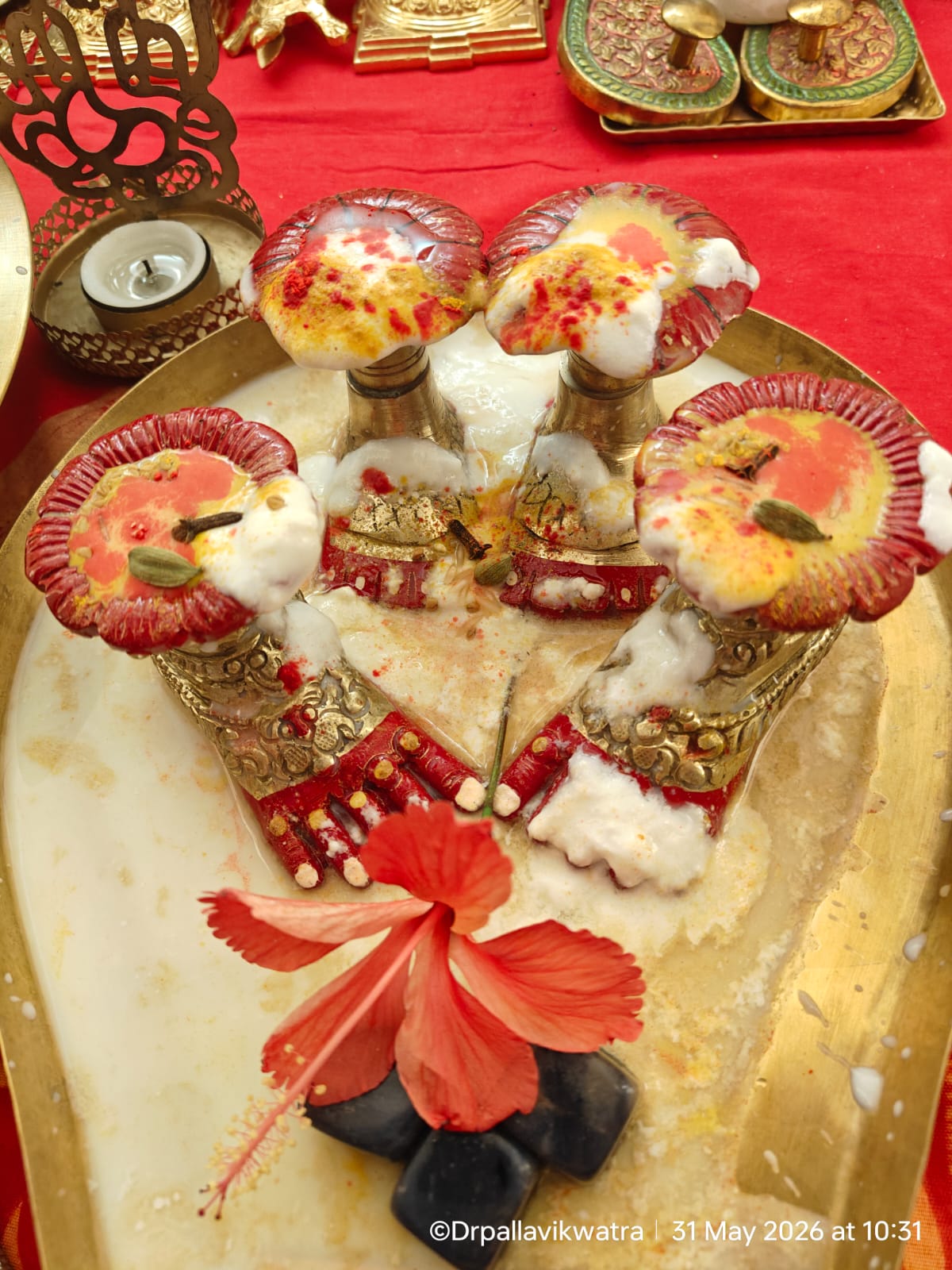 Maa Tara Charan Puja Sewa - Image 4