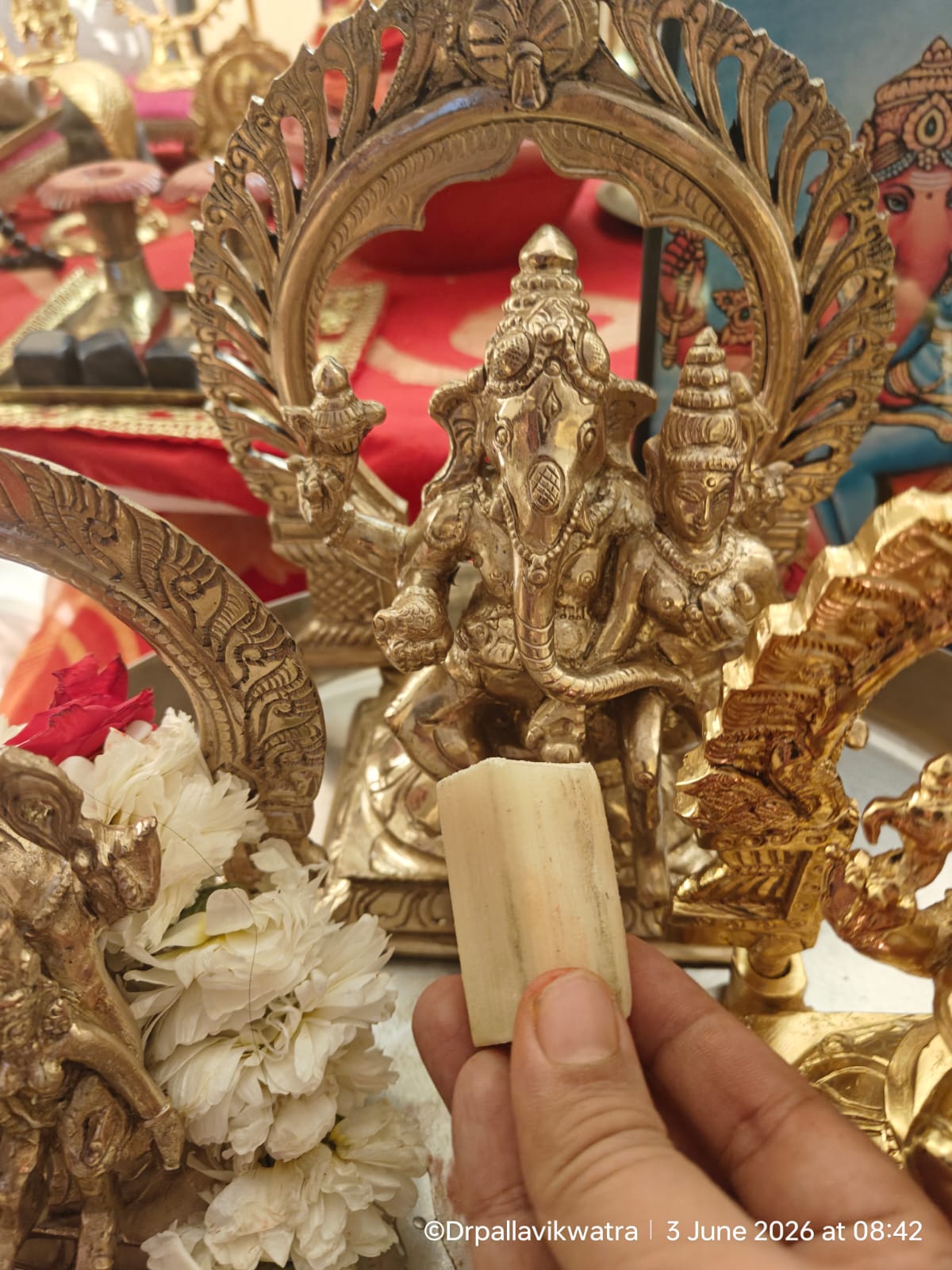 Ucchista Ganapati Shodashopachara Abhishekam - Image 6