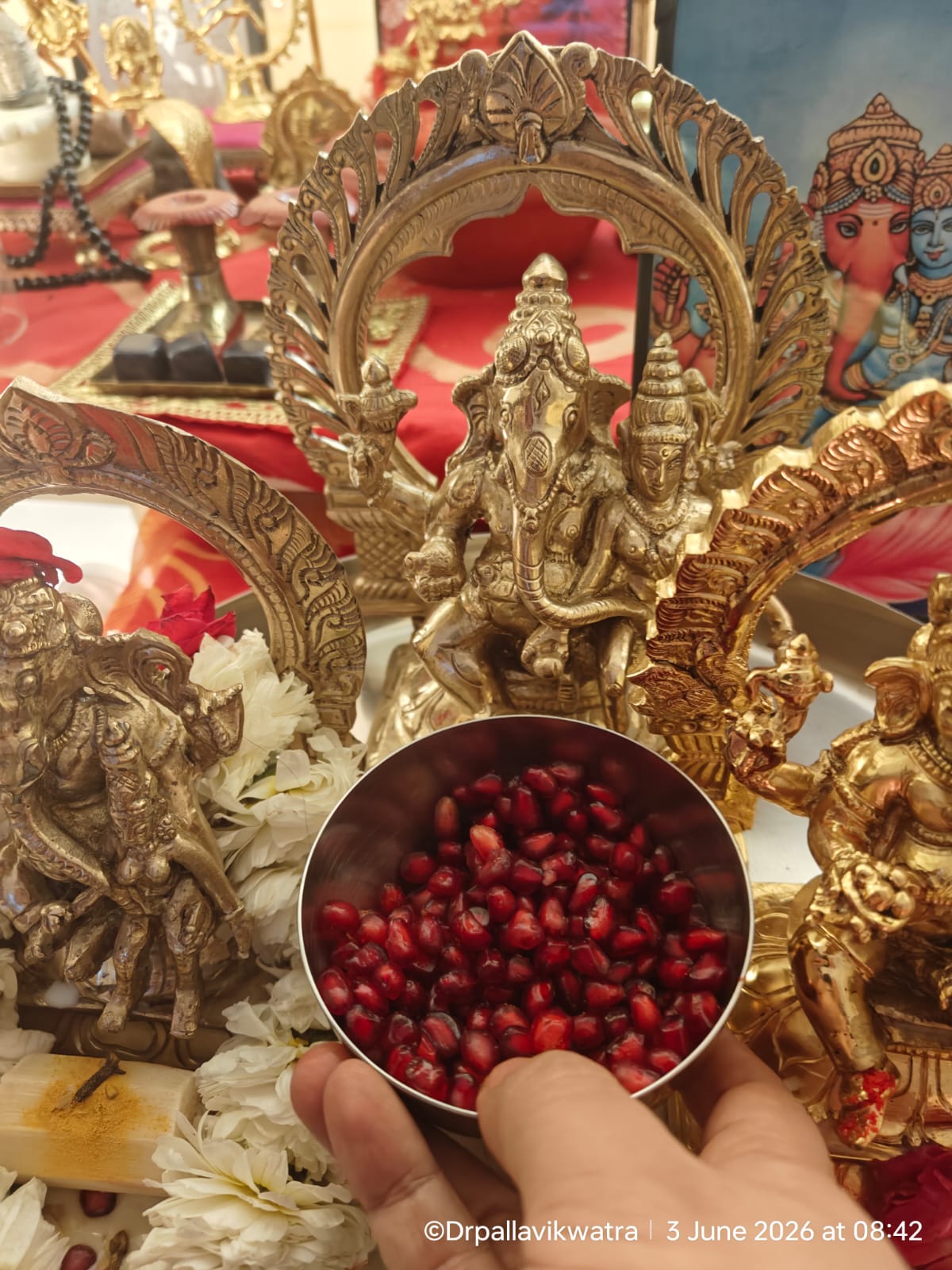 Sumukhi Matangi Sodhashupachara Puja - Image 6